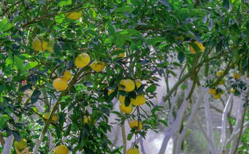 �n�Ĺ��@�C���˵ă�(y��u)��̌W�OӋ����