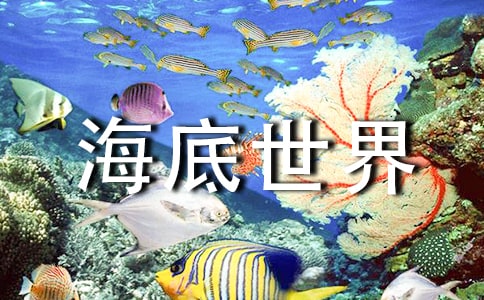 廈門(mén)海底世界之旅作文