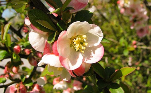 ���Ļ��_������