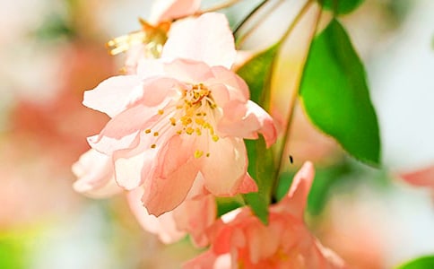 �����ġ�ԭ��עጷ��g�p��