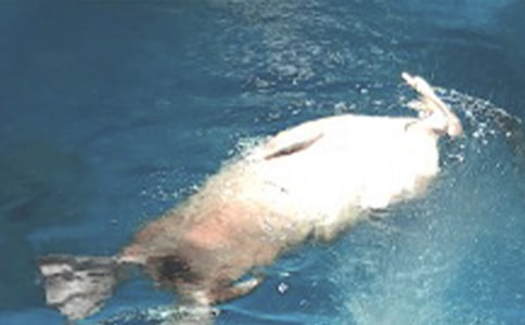 �����󹫈@����