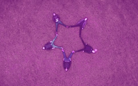 �ҵČ��Һ�������