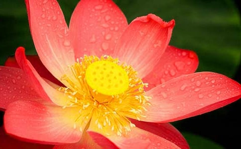 ٝ���ɻ����f�f����Ȧ150��