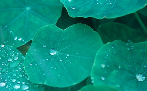 ��(xi��)���~������600��4ƪ