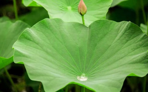 �n�ġ����~�A�A�� �ڶ��n�r(sh��)��(y��u)��̌W(xu��)�O(sh��)Ӌ(j��)��ͨ��6ƪ��