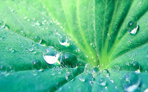 �����~�A�A����(y��u)���f(shu��)�n��12ƪ