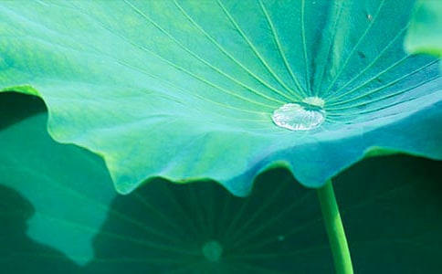 �˽̰�һ�꼉�ԡ����~�A�A���̌W�O(sh��)Ӌ���ģ����x13ƪ��