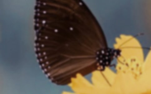 [��(y��u)]����������10ƪ