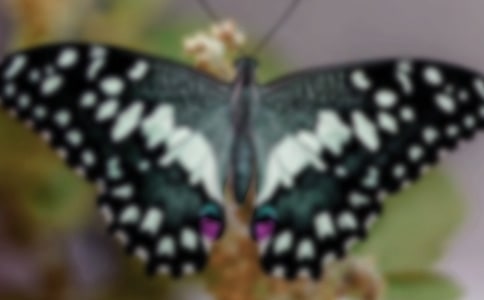 ���P(gu��n)����С�W(xu��)������400�օR��9ƪ