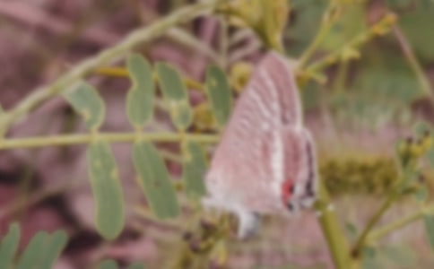 ���ĺ���ͯԒ����3ƪ