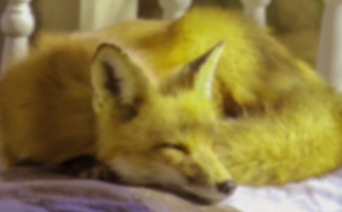 ���x���f�ͺ�؂����600�ֺϼ�9ƪ