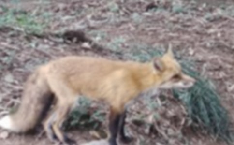 �P(gu��n)��С��؂������300�ּ�����ƪ