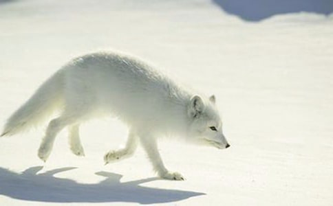 �P(gu��n)�ڽƻ��ĺ�؂����300�ֺϼ���ƪ