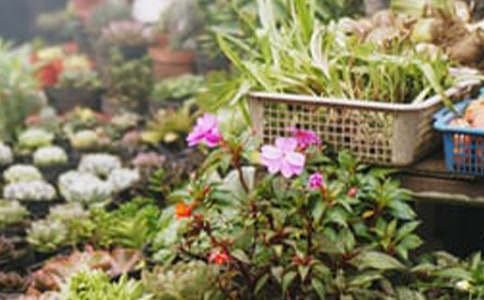 �����(xi��ng)Ŀ��(chu��ng)��(chu��ng)�I(y��)Ӌ(j��)����(sh��)��ͨ��5ƪ��