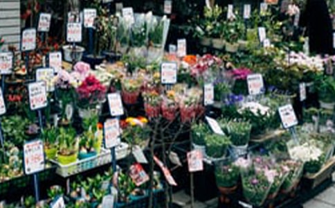 大學生開花店創(chuàng)新創(chuàng)業(yè)計劃書