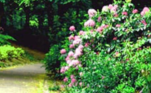 Ȥζ��ͯԒ���£����˵Ļ��@