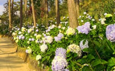 �������Ѕ^(q��)���@400������