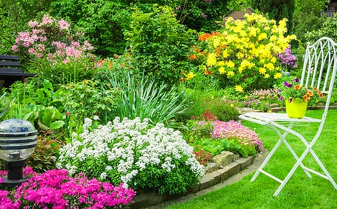 �����Ļ��@