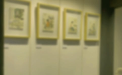 書(shū)畫展活動(dòng)方案