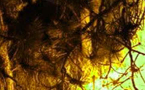 �������400��10ƪ