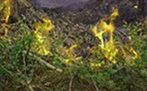 ���(z��i)��ȫ��(y��ng)���A(y��)��(7ƪ)