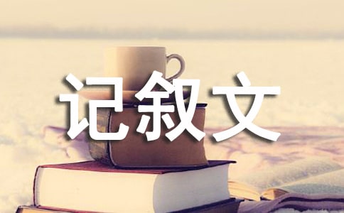 我是書(shū)記敘文作文