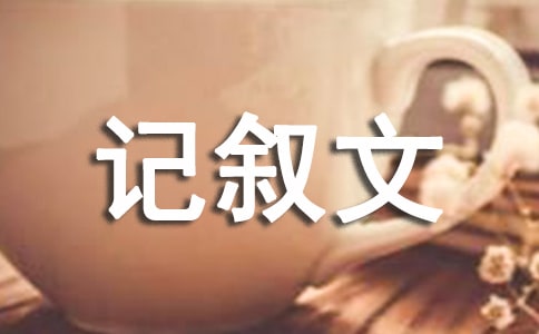 初中成長(zhǎng)路上無(wú)捷徑記敘文作文