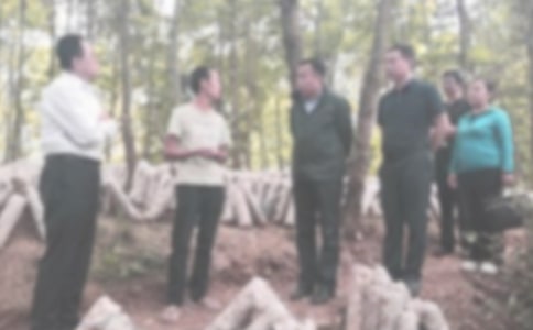 最新版紀(jì)檢部工作總結(jié)范文三篇