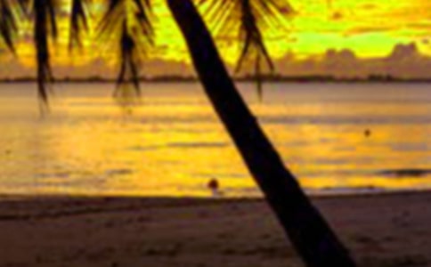 ���ڸ������ąR��15ƪ