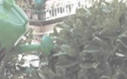 �P(gu��n)�ڝ�������