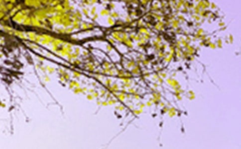 �茑���@��ɫ���ģ�ͨ��42ƪ��