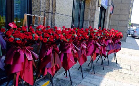 ��˾�_�I(y��)�����L�vԒ��13ƪ