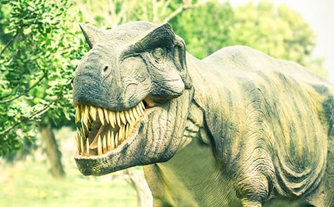 �����@���������800��