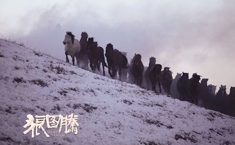 《狼圖騰》感悟匯編15篇