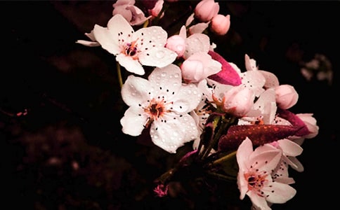 ���x�茑�滨������300��3ƪ