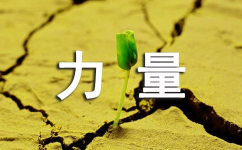 �����������������600��