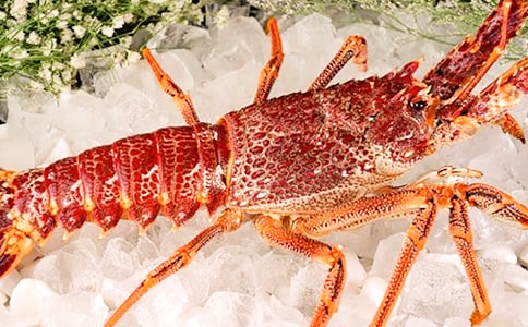 吃小龍蝦的說(shuō)說(shuō)發(fā)朋友圈