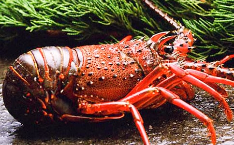 �����r����