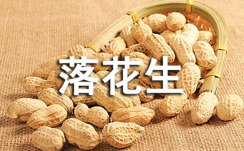 《落花生》教學(xué)設(shè)計(jì)方案范文