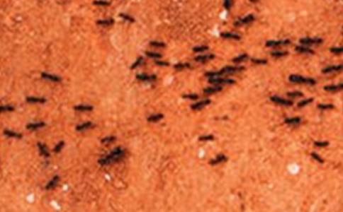 ׽Λρ����10ƪ