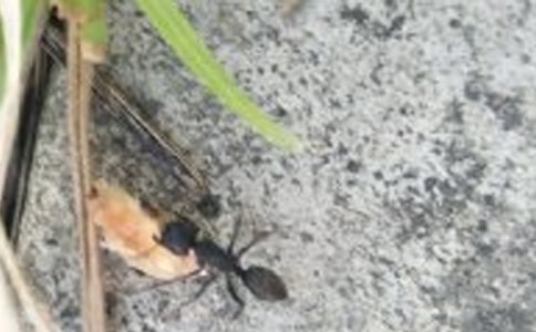 ��Ȥ��СΛρ����400��