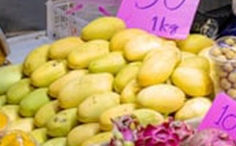 故鄉(xiāng)的.芒果林作文700字-故鄉(xiāng)