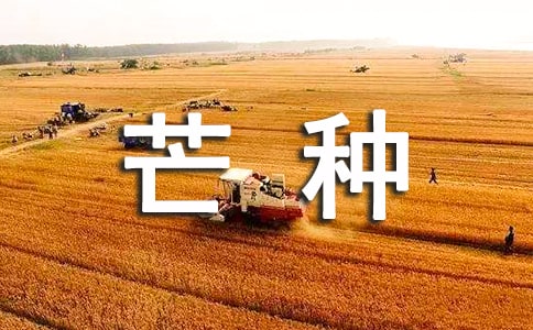 芒種下雨諺語(精選55句)