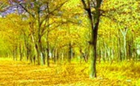 ������������600��