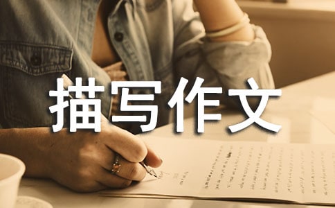 �����T�������茑����