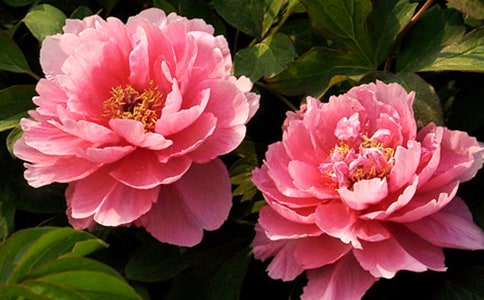 �茑ĵ��������400�֣����x10ƪ��