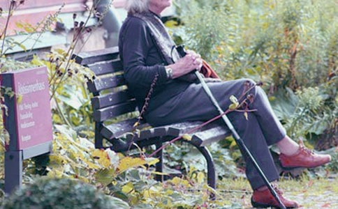 寒假作文:去奶奶的家(精選40篇)