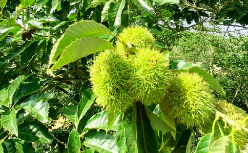 �r(n��ng)�Ҙ��̘I(y��)�߄���(������)