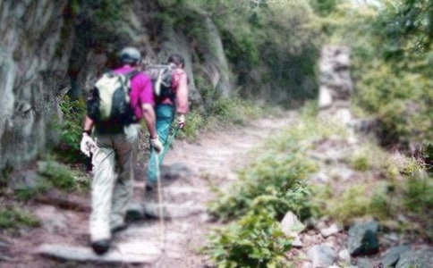 ��ɽ�����ĺϼ�(15ƪ)