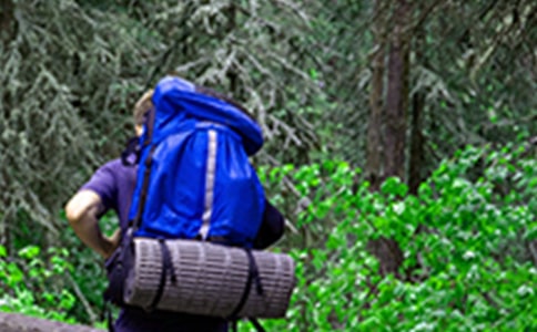 爬山小學(xué)生作文400字匯編6篇